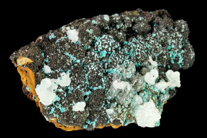 Aurichalcite and Calcite Association - Hidden Treasure Mine #146191